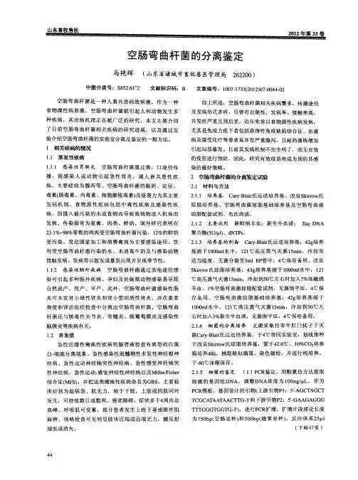 空肠弯曲杆菌的分离鉴定