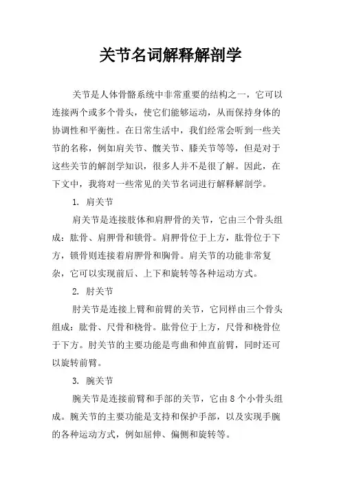 关节名词解释解剖学