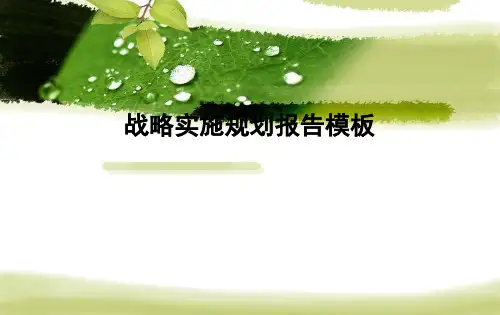 战略实施规划报告