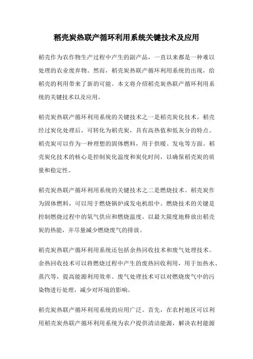 稻壳炭热联产循环利用系统关键技术及应用