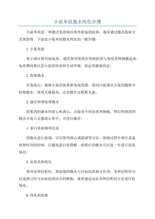 小鼠单抗腹水纯化步骤