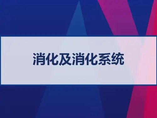 消化及消化系统 PPT