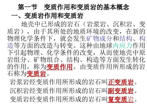 矿物岩石学.ppt