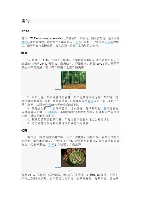 雷竹.资料