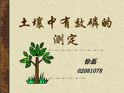 土壤中有效磷的测定(精)