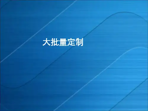 2014 - 23 - 大批量定制概述