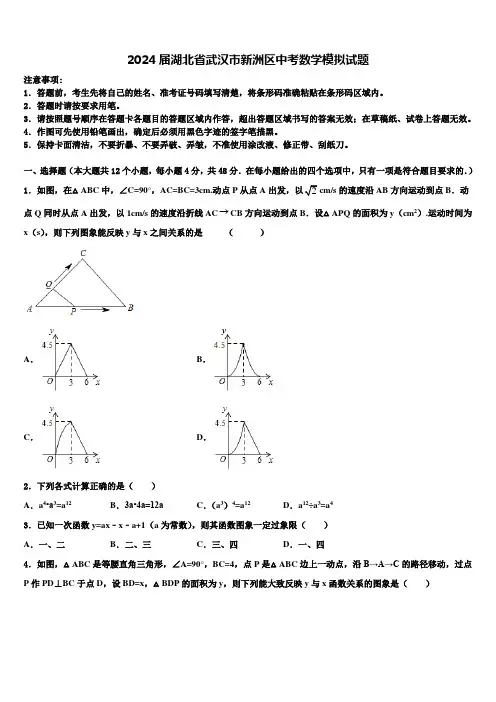 2024届湖北省武汉市新洲区中考数学模拟试题含解析