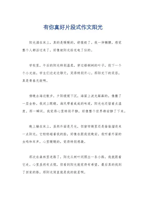 有你真好片段式作文阳光