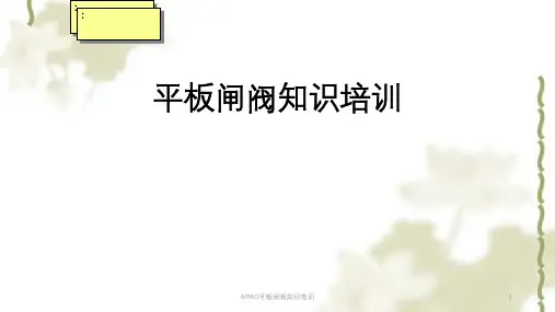 API6D平板闸阀知识培训ppt课件
