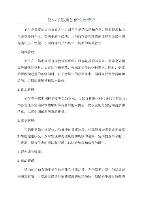 奶牛干奶期如何饲养管理