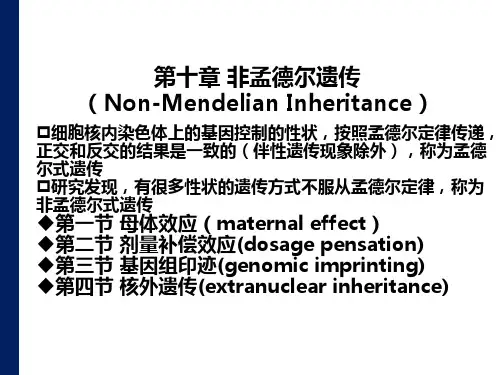 非孟德尔遗传