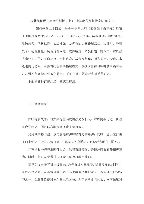 少林秘传踢打摔拿法剖析(上) 少林秘传踢打摔拿法剖析上