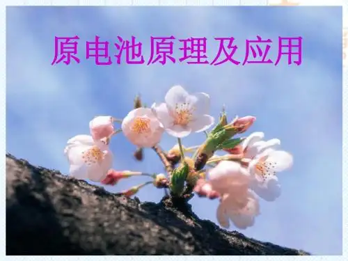 2013视导：《原电池的原理及应用》掌握原电池的形成条件,理解原电池的工作原理