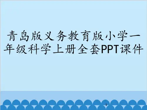 青岛版义务教育版小学一年级科学上册全套PPT课件