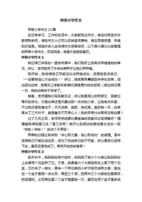 种菜小学作文15篇