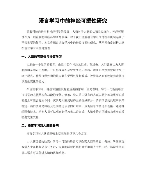 语言学习中的神经可塑性研究