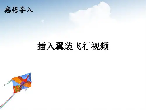 八年级美术放飞希望风筝ppt(1)