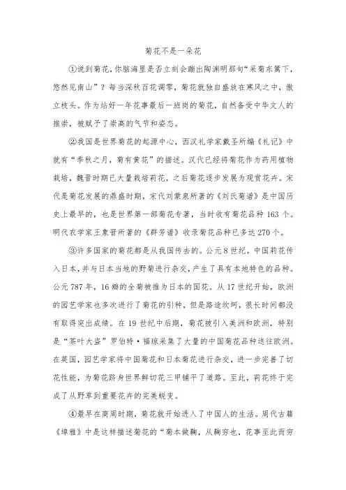 菊花不是一朵花阅读理解答案说明文