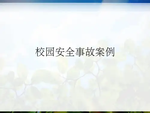 校园安全事故案例