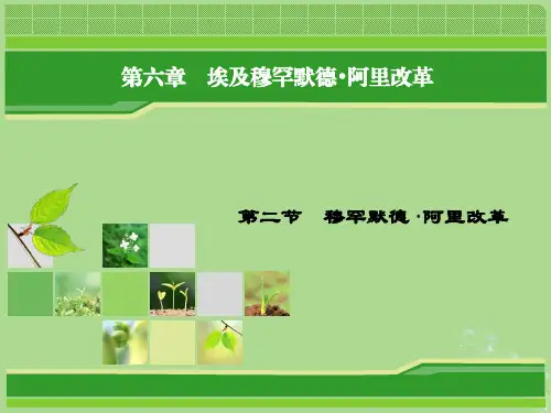 2018年高中历史北师大版选修1课件：第六章-埃及穆罕默德-阿里改革6