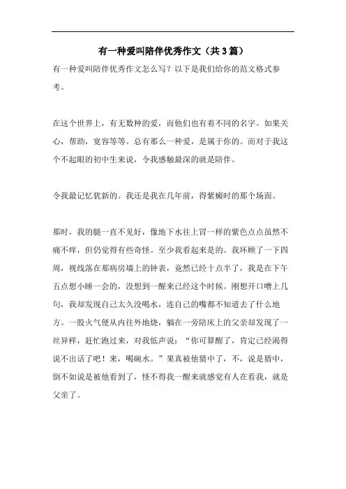 有一种爱叫陪伴优秀作文(共3篇)