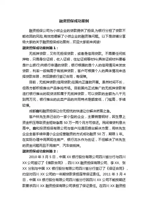 融资担保成功案例