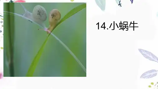 语文人教部编版一年级上册(2024年新版)14.《小蜗牛》(课件)