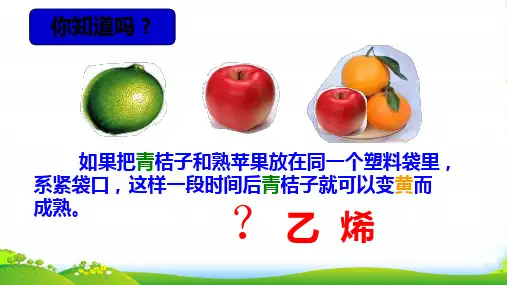人教版高中化学必修2-乙烯(共33张PPT)
