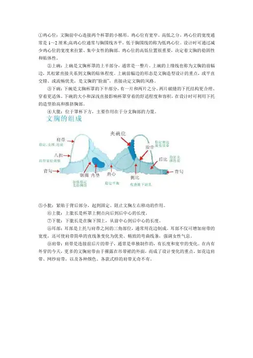 文胸结构