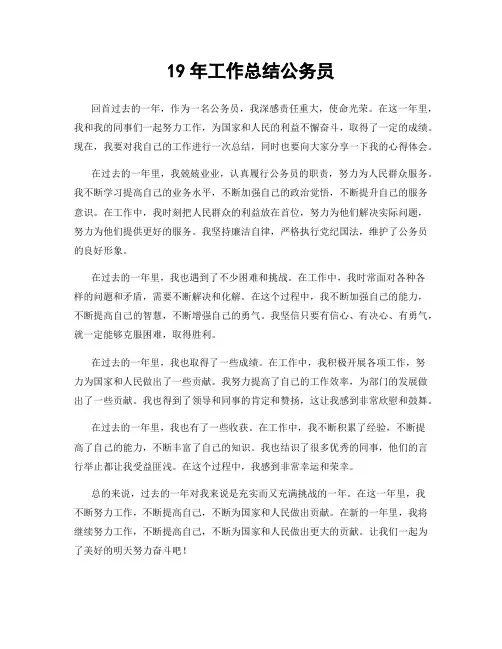 19年工作总结公务员