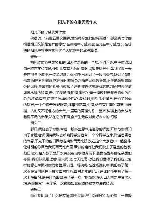 阳光下的守望优秀作文