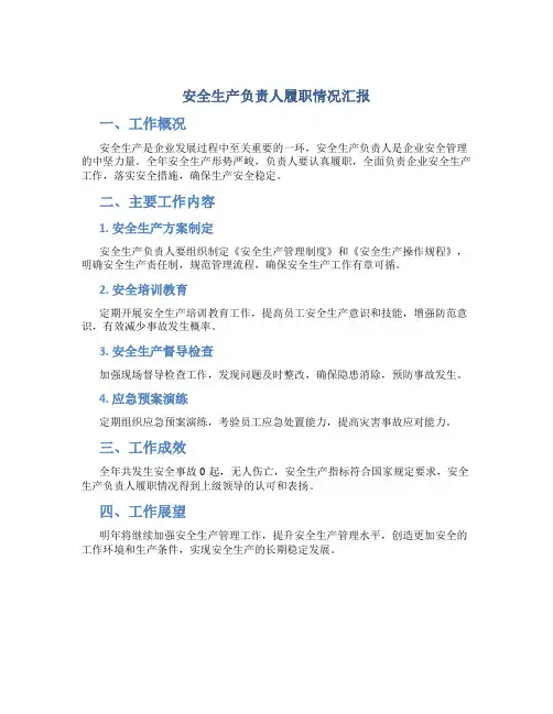 安全生产负责人履职情况汇报
