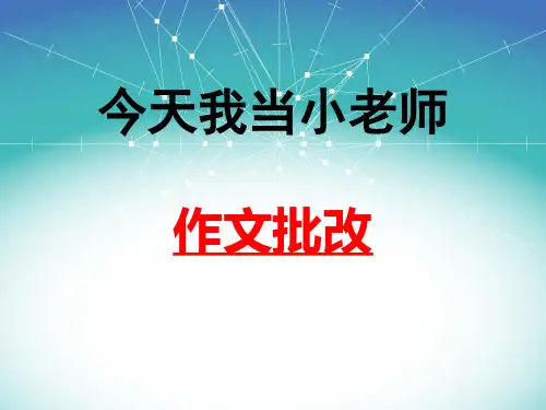 作文批改要求