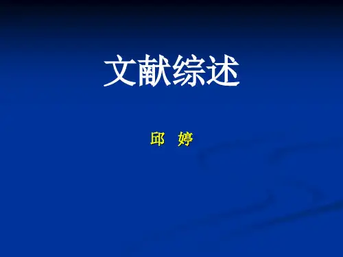 文献综述