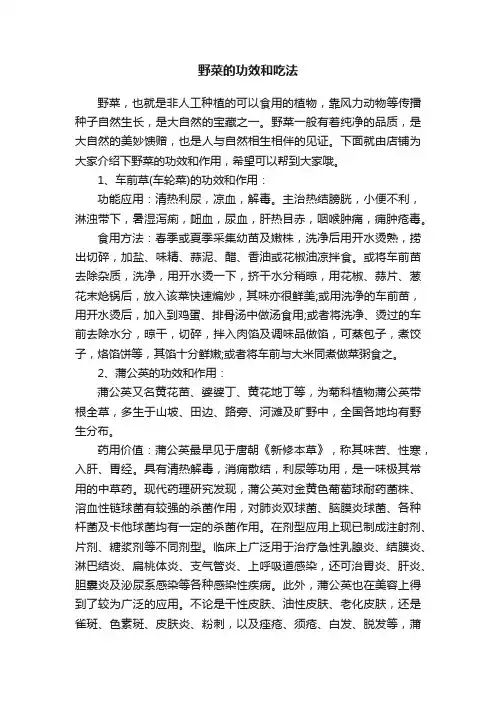 野菜的功效和吃法