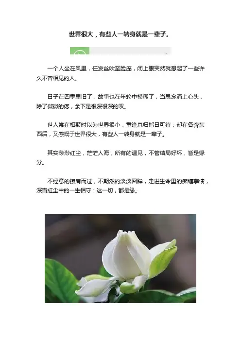 世界很大，有些人一转身就是一辈子。