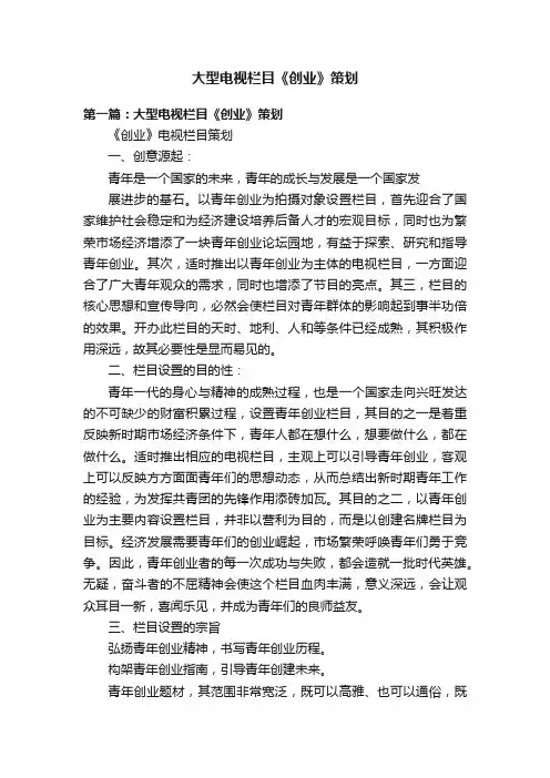 大型电视栏目《创业》策划