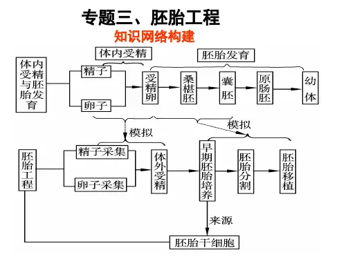 人教版教学课件[名校联盟]广东省连州市连州中学高中生物选修三《专题三 胚胎工程》复习课件
