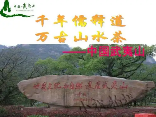 魅力武夷山(精品PPT)