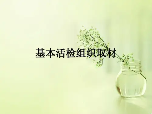宫内物活检基本描述及取材1