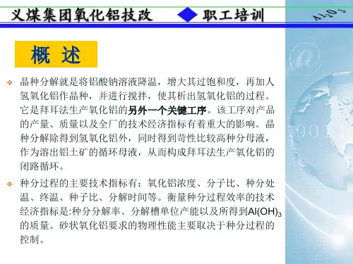 拜耳法生产氧化铝05分解车间sn