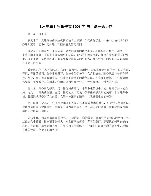 【六年级】写景作文1000字 美,是一朵小花