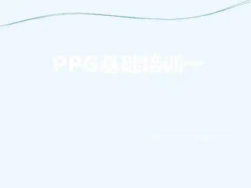 PPG基础培训