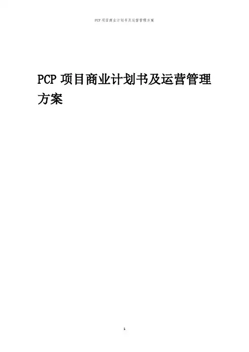 2024年PCP项目商业计划书及运营管理方案