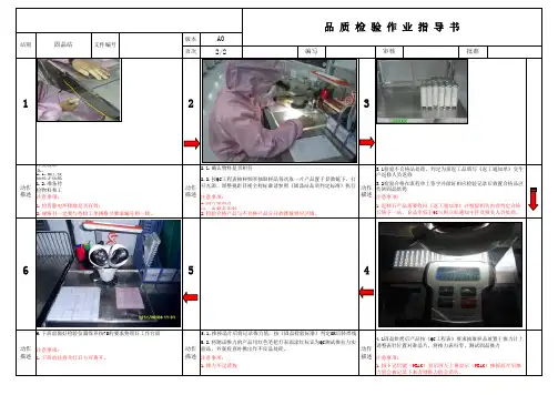 检验作业指导书