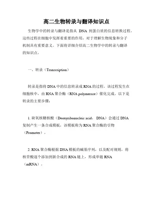 高二生物转录与翻译知识点