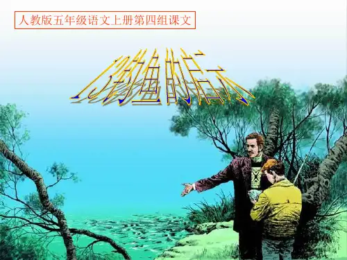 《钓鱼的启示》的PPT课件