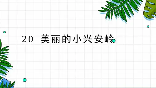 20 美丽的小兴安岭