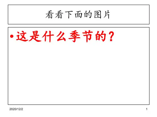 二年级写话 秋天 ppt课件