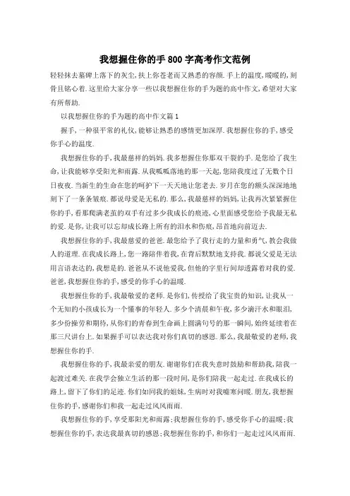 我想握住你的手800字高考作文范例